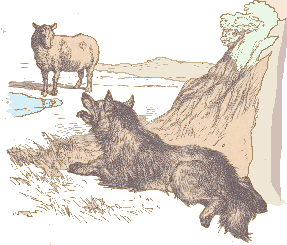 O Lobo e a Ovelha